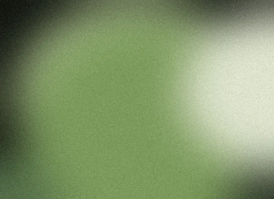 Lichen fog over a stone path, a generated hero still